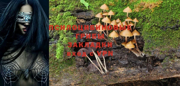дурь Лагань